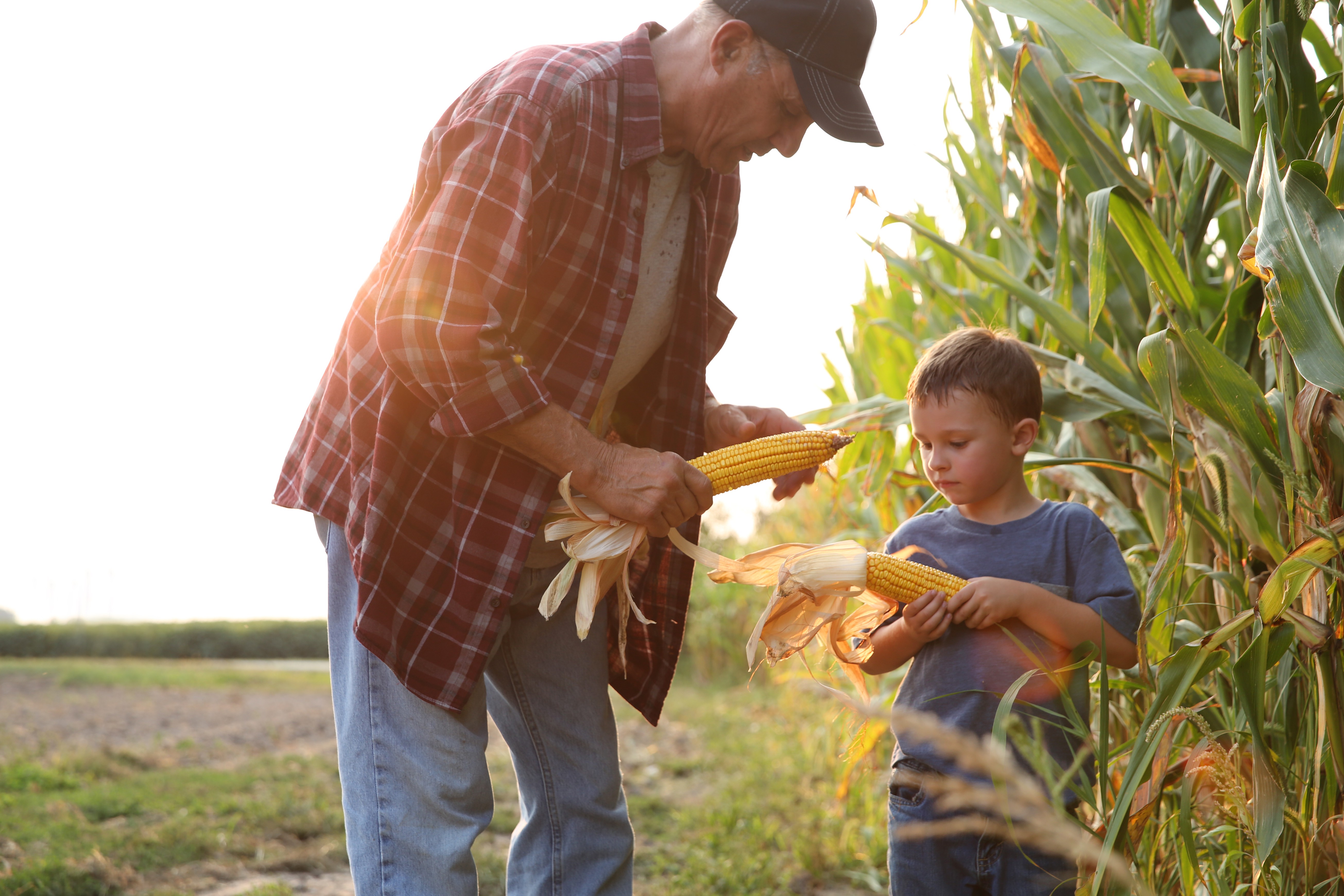 Del Monte farmer