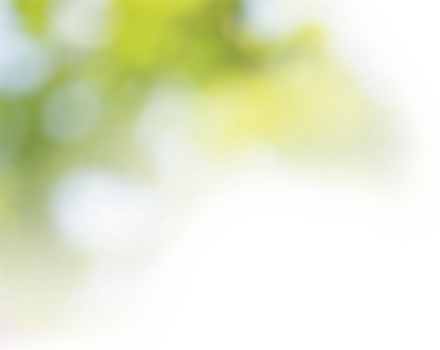 Blurred Tree, Left
