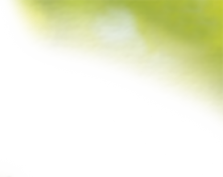 Blurred Tree, Right